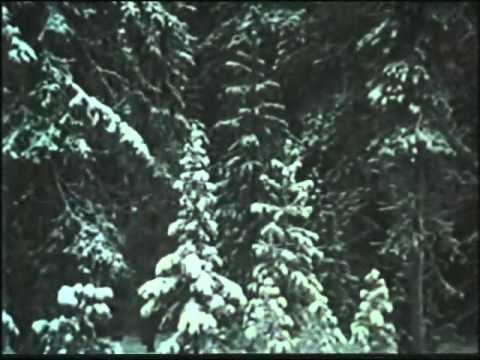 Власть Соловецкая - Свидетельства и документы - 1988