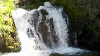preview picture of video 'Whiteoak Creek Falls, Nantahala National Forest, NC'