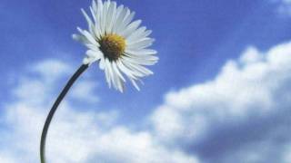 Noa - Beautiful That Way