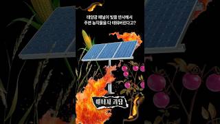 태양광 패널이 빛을 반사해서 주변 농작물을 다 태워버린다고?
