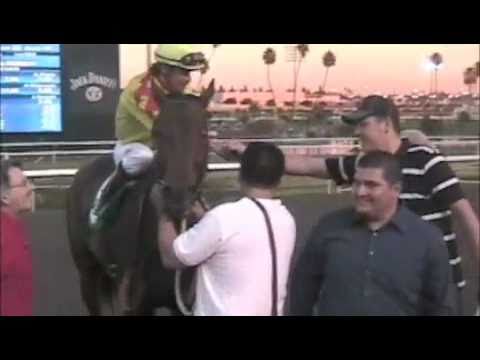 Turbulent Descent Cruises In Hollywood Starlet