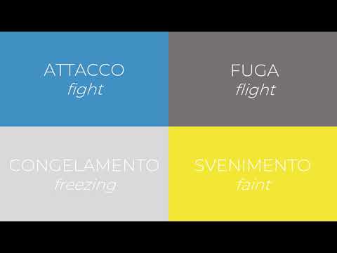 Che cos'è la paura?