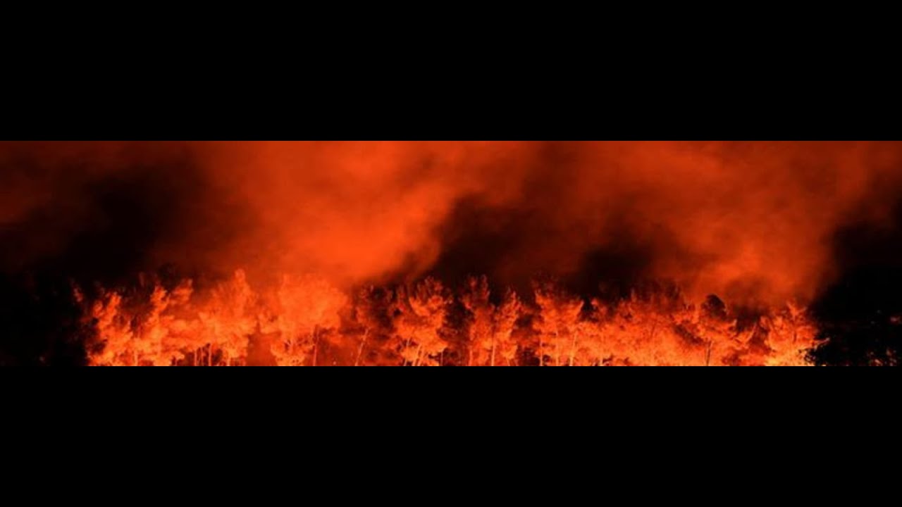 How Fire Science contributes to Fire Engineering