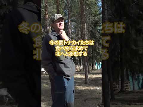 気候変動が作物に与える影響