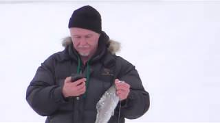 Ссылка