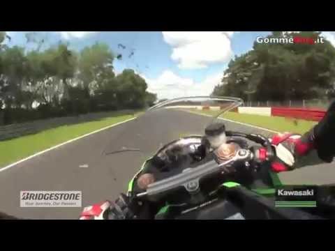 The Red Queen Hypothesis