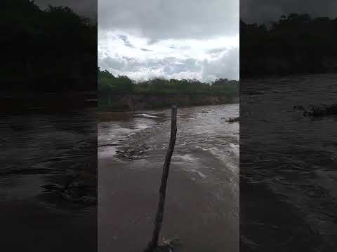 xeia no Rio Trairi lagoa salgada RN