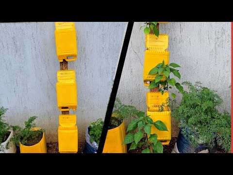 STOP Wasting Space and Grow More Chili Peppers with This One Simple Change