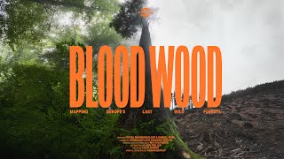 BLOOD WOOD - Mapping Europe´s Last Wild Forests