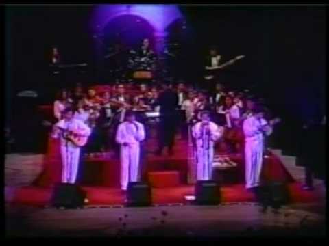 proyecto PACHA - sin ella