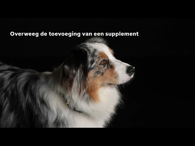 Purina Natural Defence hond