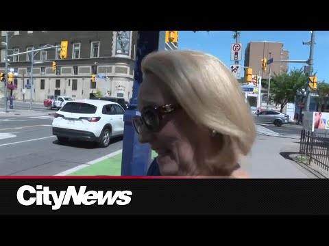 Toronto honours viral raccoon with heritage plaque