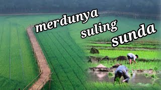 Download lagu Suling Sunda yang merdu dengan pemandangan indah!? mp3 Download lagu Suling Sunda yang merdu dengan pemandangan indah!? mp3
