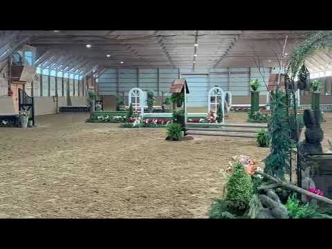 Nemo video 2