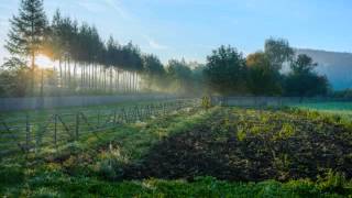 Mogwai - The Sun Smells Too Loud & Dracula Family