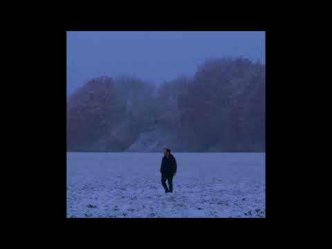 [FREE] Frank Ocean x Bon Iver Type Beat - "Let Me Fall"