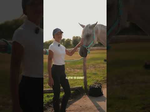 ❓🐴 Lovas Kérdezz–Felelek indul!