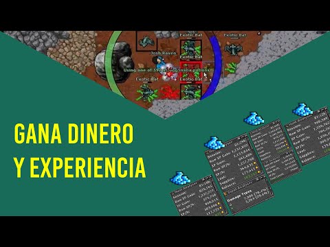 Tibia EK - Experience and profit