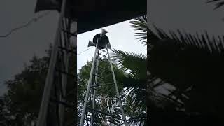 Download lagu toa masjid mp3