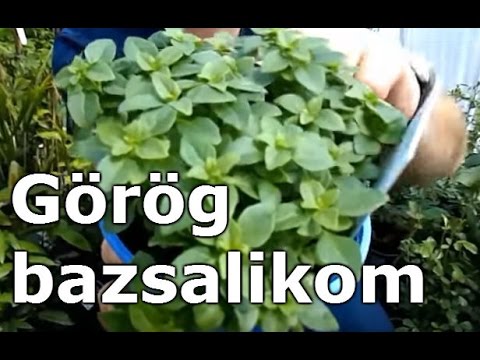 Kerekférgeket okozhat