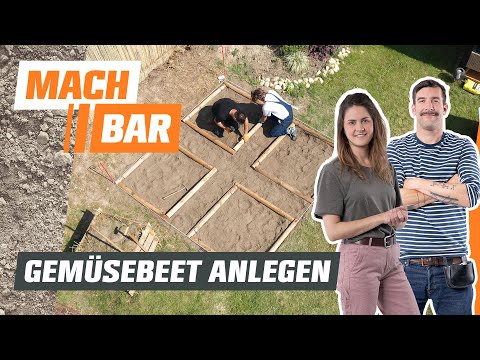 Creating a vegetable garden for beginners 🥕 | OBI