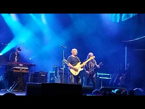 Dariusz Kozakiewicz & Dżem - Layla