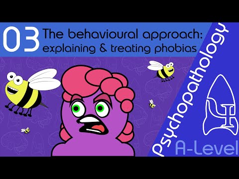 3 Phobias: Behavioural