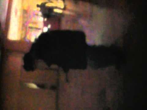 tanigoi de la orsova breack-dans