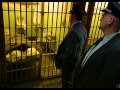 Documentary Crime - Breakout from Alcatraz