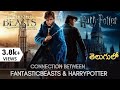 Connection between Fantastic Beasts and Harry Potter Explained | in Telugu || The Filmy Critic