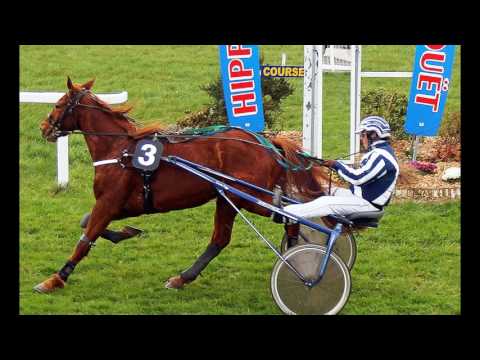 Pronostic quinté 20/02/2017 - Vincennes - Prix de Fontainebleau