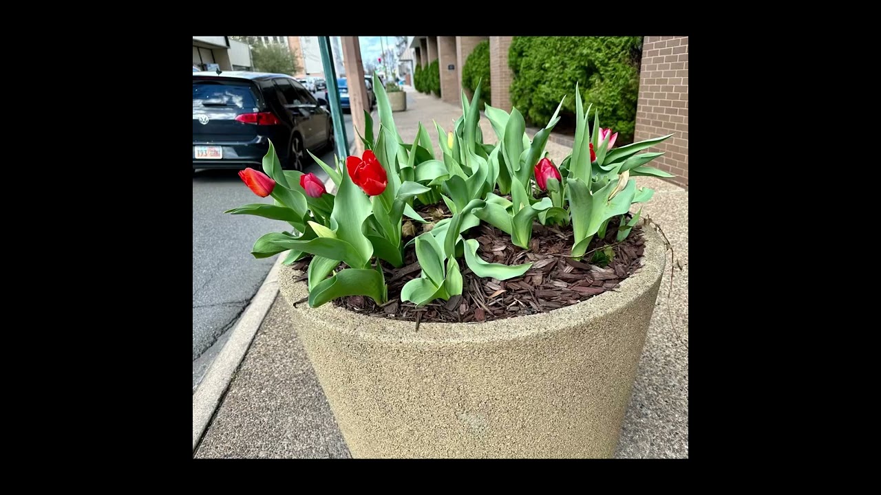 Downtown Little Rock, Arkansas - March 2024