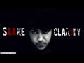 Clarity - Zedd (feat.foxes) Cover by Saake with ...