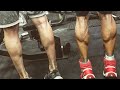 HOW TO GROW STUBBORN CALVES | my routine | akshat fitness