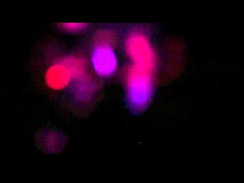 BONZO BLUES BAND - FIESTA CERVEZAL -