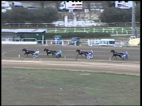 Trotto 26/10/2014 - 1° prova di qualifica