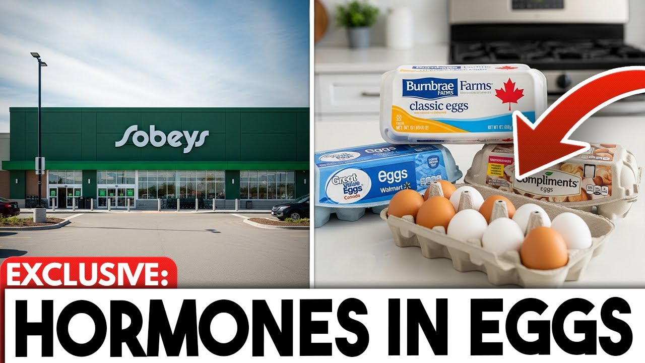 10 Egg Brands Canadians MUST STOP Buying - What I Found Will...