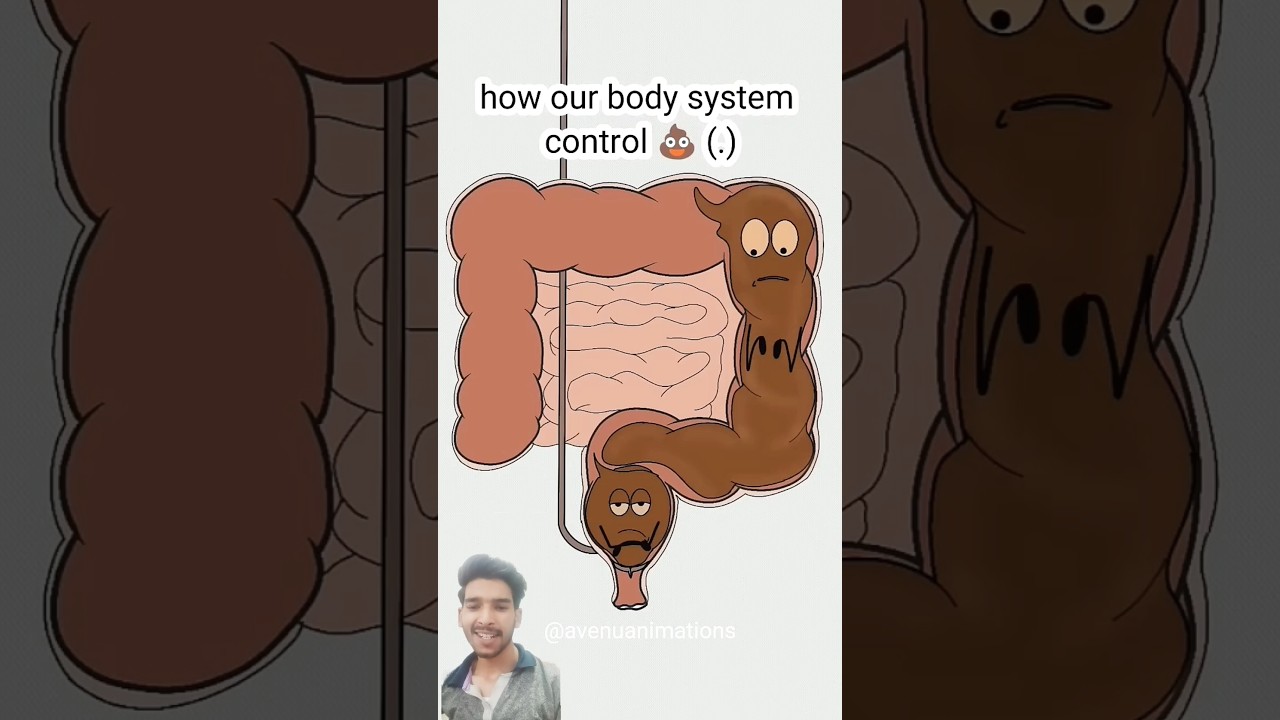 Try Not to Laugh Challenge - IMPOSSIBLE (You WILL Laugh!)Part-124#animation #cartoons #memes #comedy