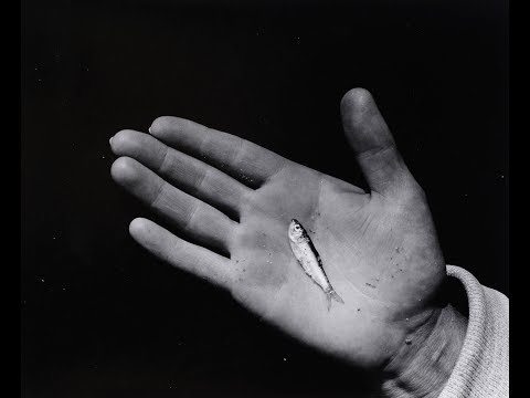 Lecture: Robert Mann on Aaron Siskind