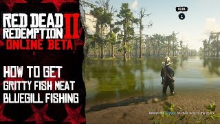 How to get "Gritty Fish Meat" | Red Dead Redemption 2 Online