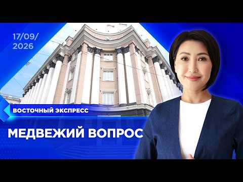 Экспорт добытого медведя обсудят в Бурятии | «Восточный экспресс» | новости Бурятии