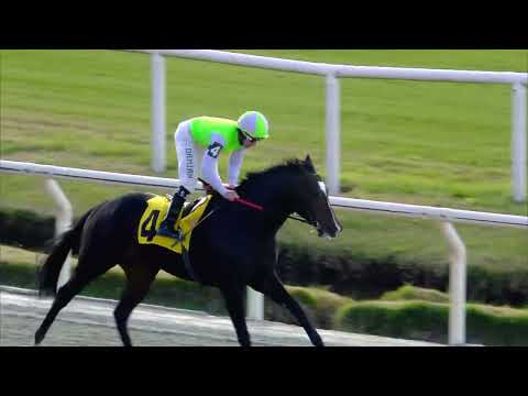 230716 c04 MESTRE CARIOCA