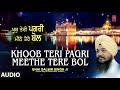 KHOOB TERI PAGRI MEETHE TERE BOL I BHAI DALBIR SINGH JI I SHABAD GURBANI I APNE SATGUR KE BALIHARE