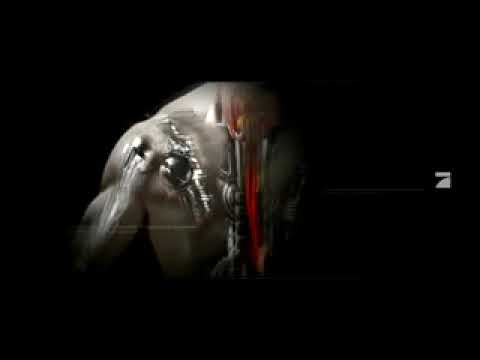 SCHLAG DEN LAAITER (SCHLAG DEN RAAB)
