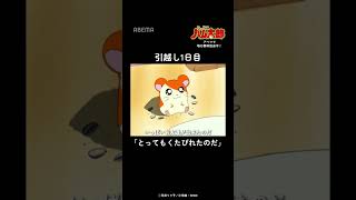 引越し1日目はくたびれるよね… |「とっとこハム太郎」アベマでは毎日無料配信中!#shorts