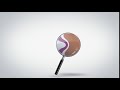 482 Logo Reveal Magnifying Glass Look Any BG Clean Intro Animation