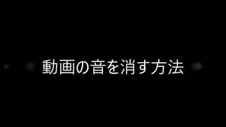 動画の音を消す方法