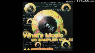 Mungo Jerry & The Syndicate - In The Summertime (Reggae-Pop / Downtempo) (1997)