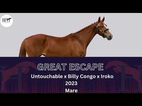 Great Escape