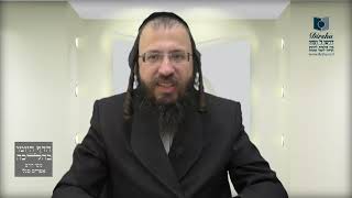 אדם שעשה מלאכה בשוגג בשבת – האם רשאי להנות ממנה?- שי"ח א'